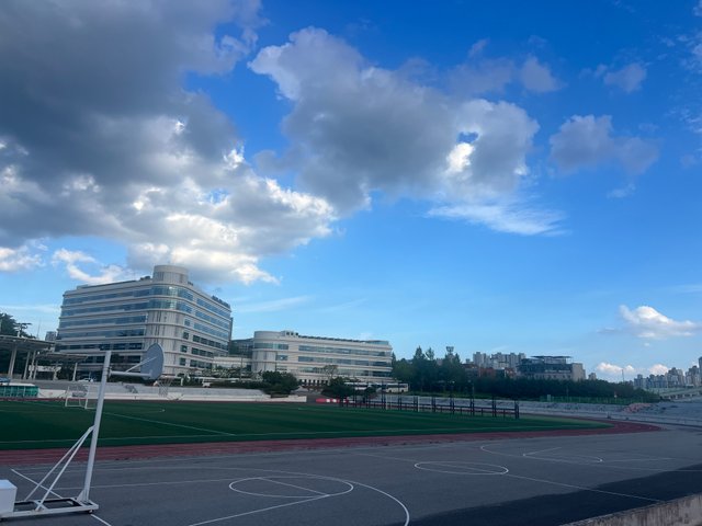 IMG_3879.jpeg