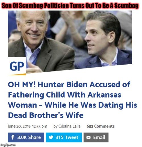 Son Of Scumbag Politician Turns Out To Be A Scumbag.png