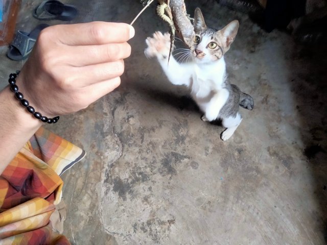 IMG20251010145044.jpg