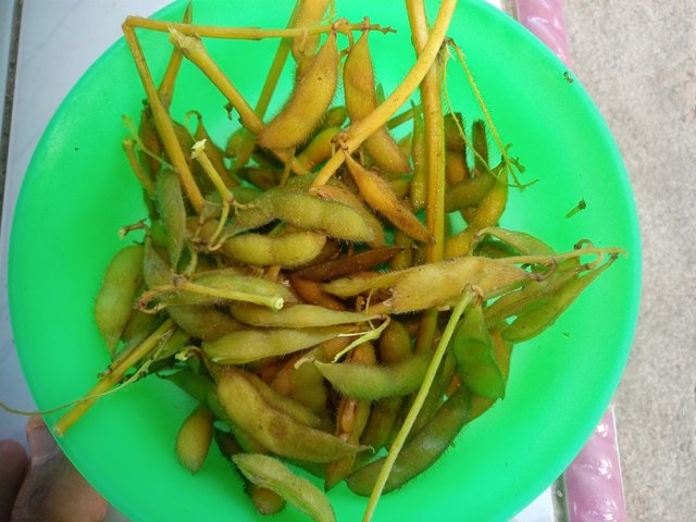 IMG20250718080319.jpg