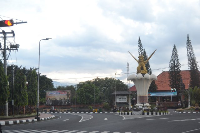 DSC_7333.JPG