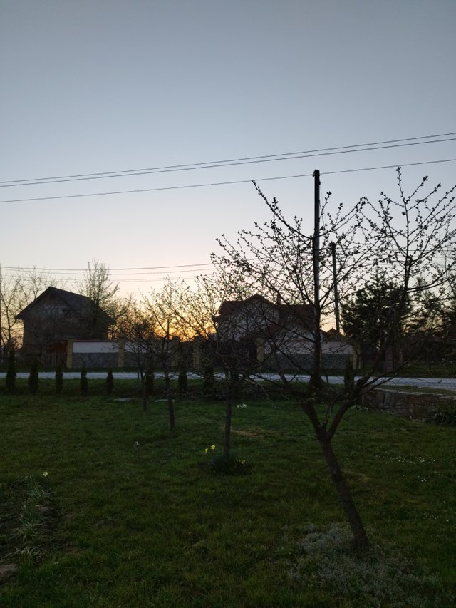 IMG_20250416_201155.jpg