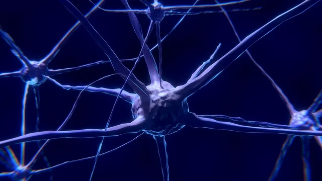 nerve-cell-2213009_960_720.webp