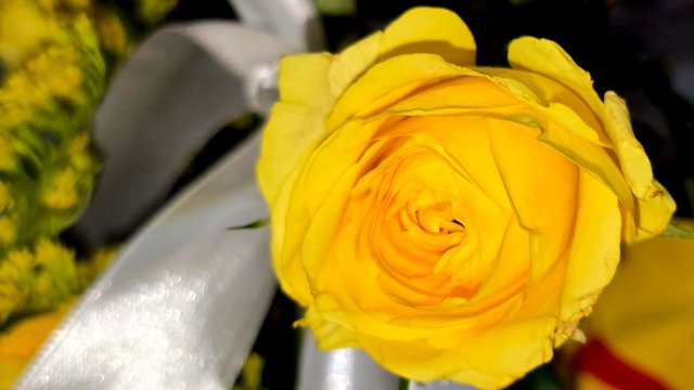 20250512_001928.jpg