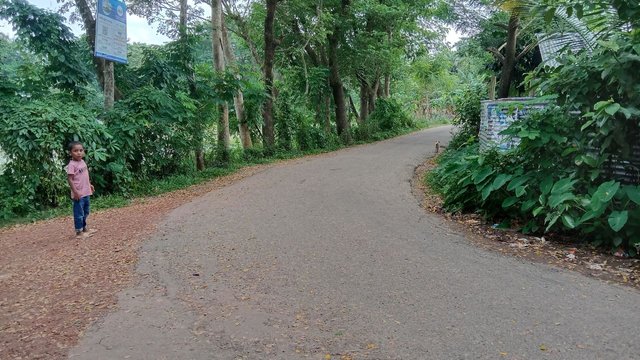 IMG_20250726_203740_994.jpg