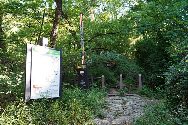 b-DSC01096.JPG