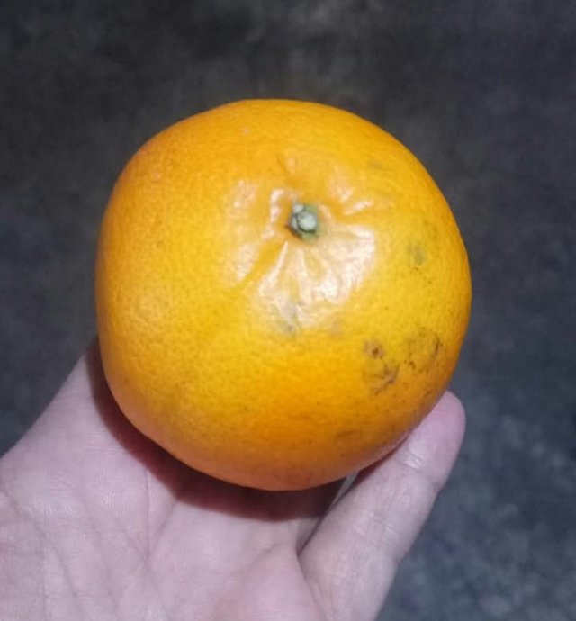 1749817203360.jpg
