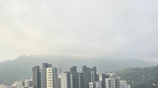 1000124269.jpg