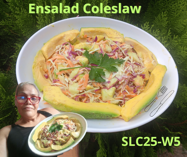 Ensalada Coleslaw_20250718_171852_0000.png