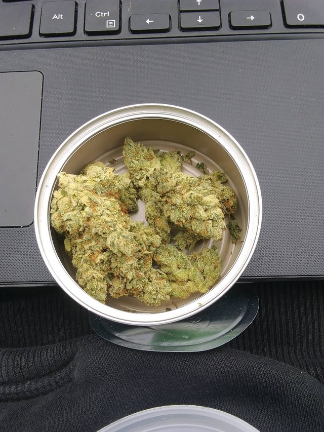 Tuna Can Weed! — Steemit