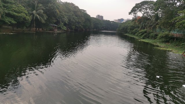 IMG_20240608_162257.jpg