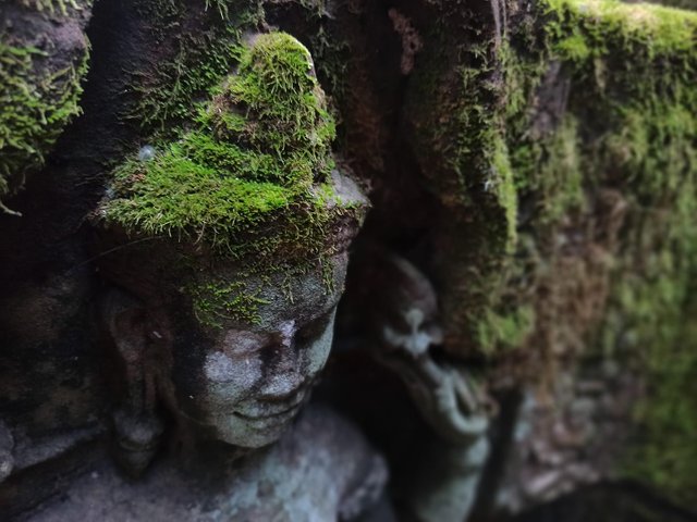 devata-moss-angkor.jpg