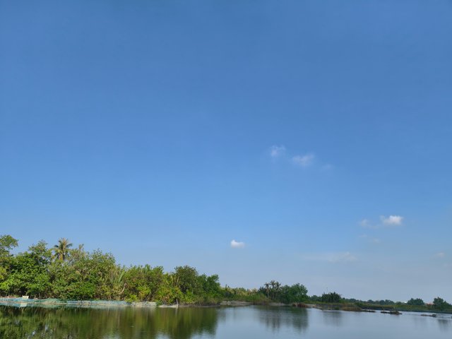 IMG_20250512_081531.jpg