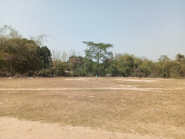 IMG_20250307_124222_652.jpg
