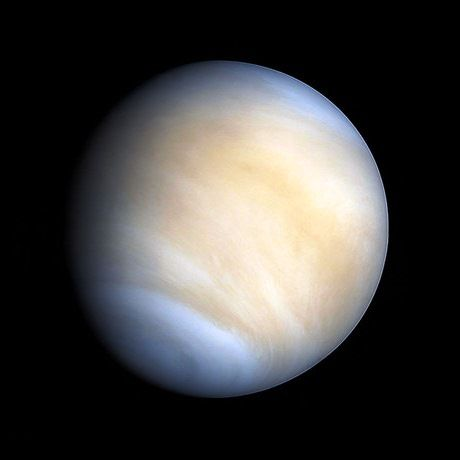 Foto Venus 2.png