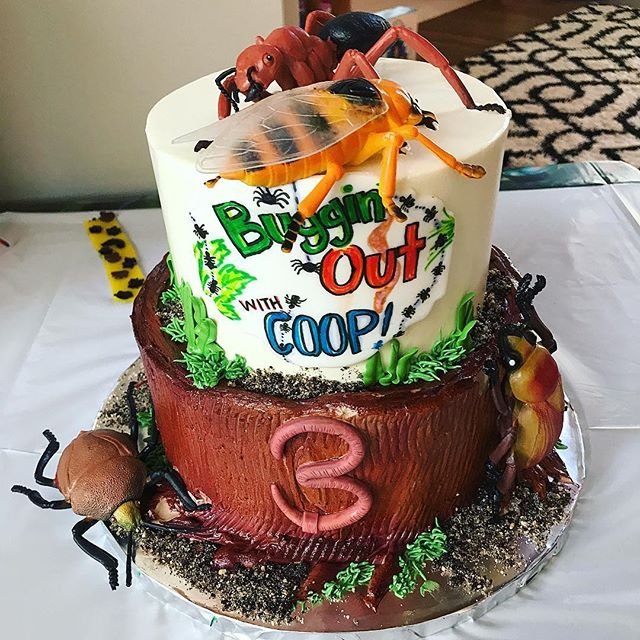 Birthday bug cake recipe | BBC Good Food