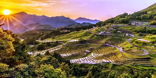 rice-terraces-2389023_640.jpg