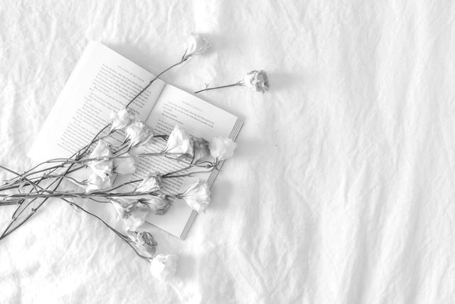 bed-with-book-and-flowers_925x.jpg