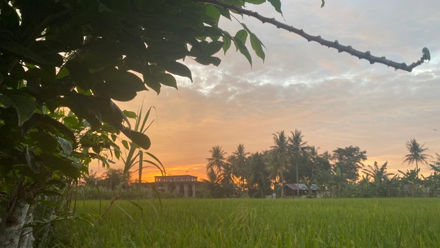 IMG_1717.jpeg