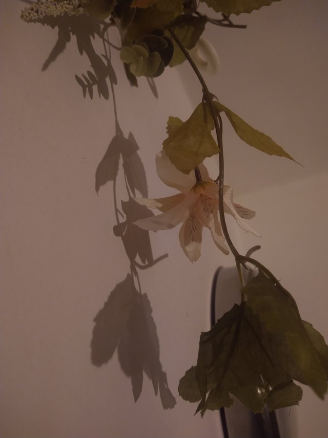 IMG_20250708_185111326.jpg