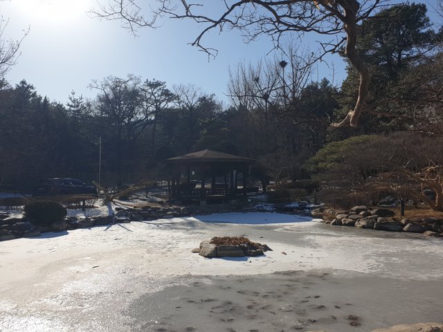 20240113_133512.jpg