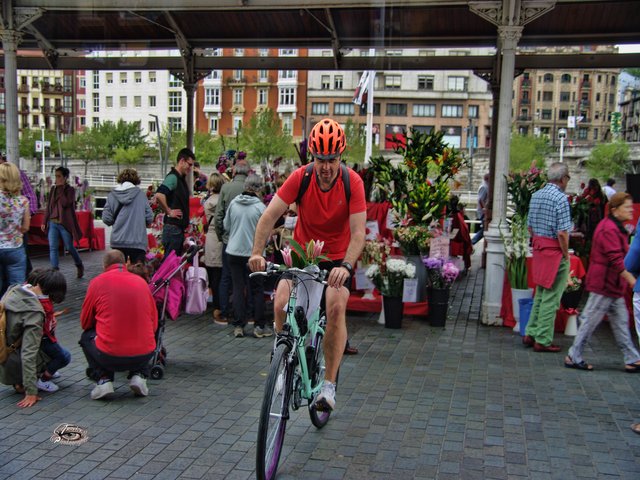 IMGP8161.jpg