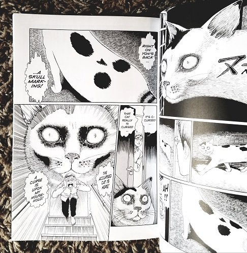 Junji Ito's Cat Diary: Yon & Mu by Junji Ito, Paperback