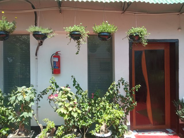 IMG_20250409_130101.jpg