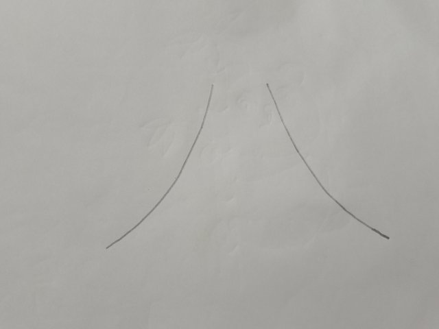 1000017435.jpg