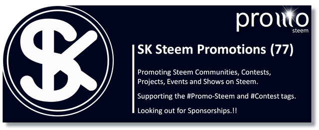 Steemit Steem Blog.jpg