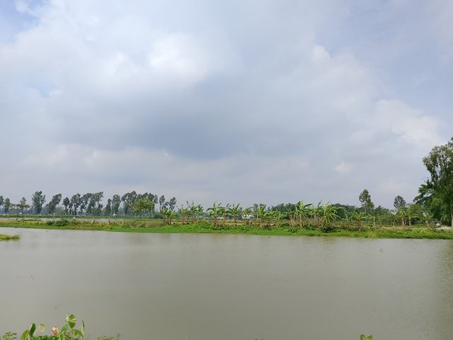 1000046179.jpg