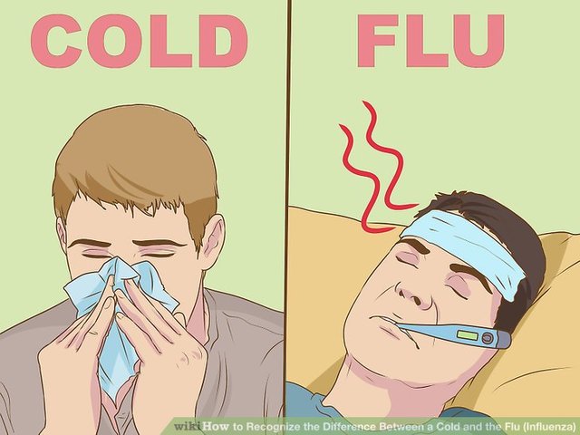 cold-and-flu.jpg