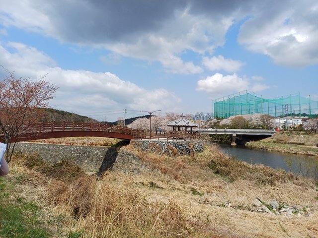 20250403_131305.jpg