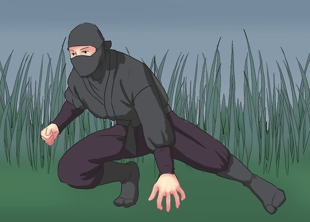 Understanding Stealth Techniques_Step 4.jpg