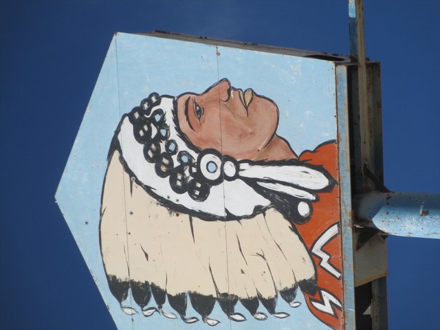 zia indian head.JPG