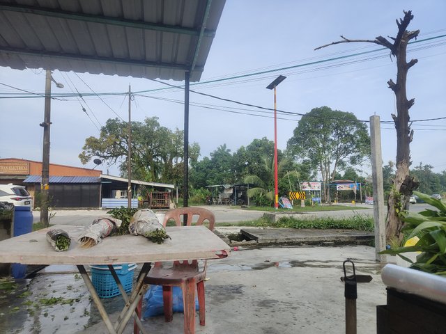 IMG20250323084209.jpg