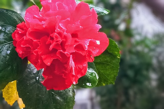 20250731_182530~2.jpg