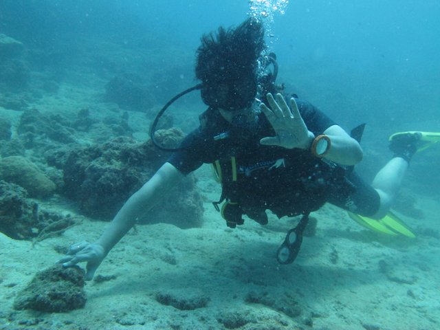 Scuba diving,  (Havelock Island) India.jpg