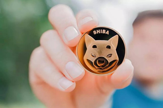 shiba-inu.jpg