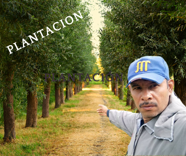 1000034792.png