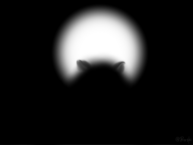 DSC03846.png