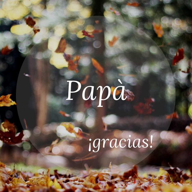 ¡GRACIAS papà!.png