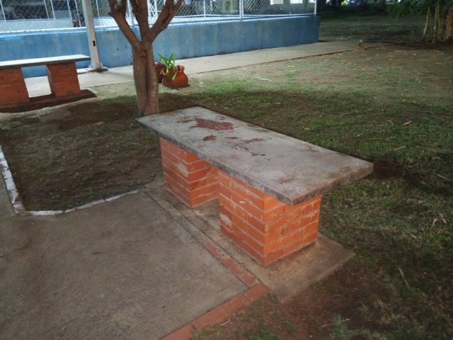 1000077883.jpg