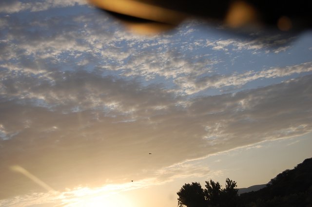 k-DSC_0378.JPG
