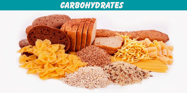 CARBOHYDRATES.png