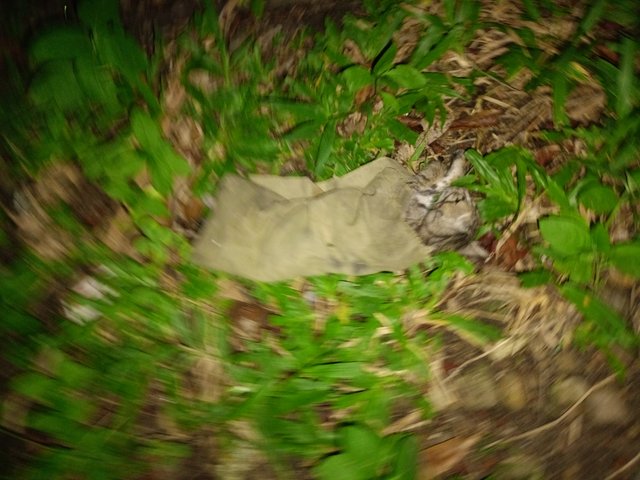 IMG20250621201404.jpg