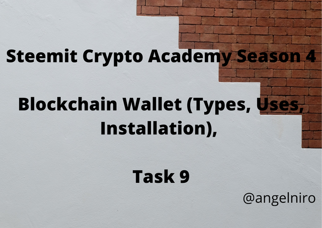 Steemit Crypto Academy Season 4 Blockchain Wallet (Types, Uses, Installation), Task 9.png