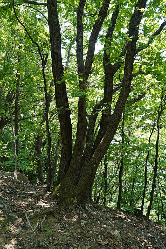 b-DSC04070.JPG