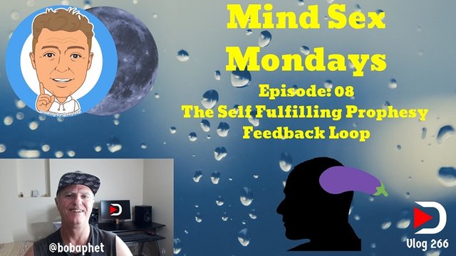 266 Mind Sex Mondays Episode 08 - The Self Fulfilling Prophesy Feedback Loop Thm.jpg