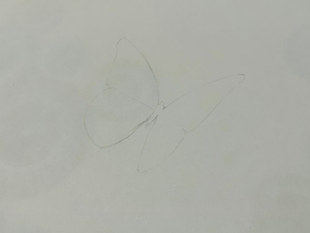 IMG_1819.jpeg